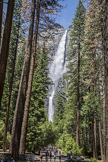 vandfald, Sequoia, træer, bjerg, Skov, redwoods, træ, plante, jord, vand, bevægelse, scenics - natur, rigtige mennesker, gruppe af mennesker, menneskemængde, natur, skønhed i naturen, stor gruppe mennesker, lang eksponering, fritidsaktivitet, dag, flydende vand, udendørs, flyder, magt i naturen, 5K, CC0, offentligt domæne, royaltyfrie