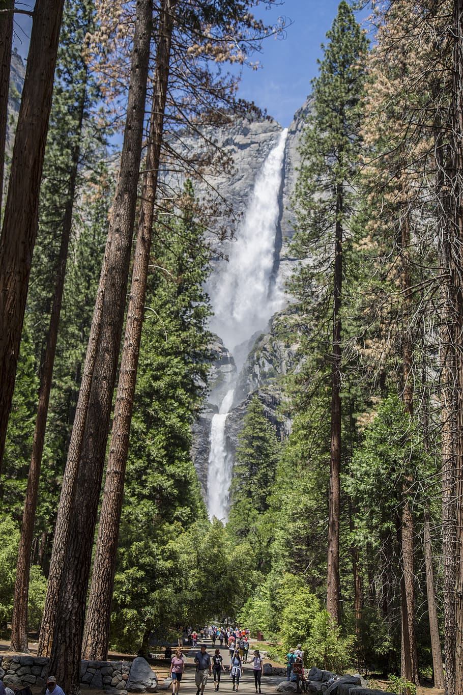 cascada, sequoia, arbres, muntanya, bosc, sequoies, arbre, planta, terra, aigua, moviment, escenics - natura, persones reals, grup de persones, multitud, naturalesa, bellesa a la natura, gran grup de persones, exposició llarga, activitat d'oci, dia, aigua que flueix, a l'aire lliure, que flueix, poder a la natura, 5K