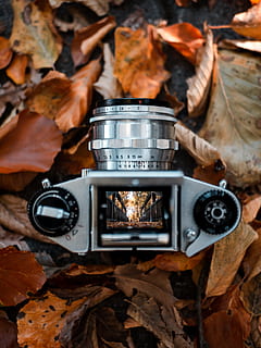 negru, gri, camera dslr, întoarse, frunze, vechi, toamnă, cădea, oglindă, perspectivă, aparat foto, simetrie, aparatul de fotografiat, fotograf, portocale, reflecţie, testarea nivelului taliei, parte a plantelor, tehnologie, fotografii tematice, a închide, aparat de fotografiat - echipament fotografic, natură, nici o persoana, uscat, echipament fotografic, Schimbare, zi, metal, echipament, stil retro, în aer liber, camera digitala, 4K, CC0, domeniu public, fără drepturi de autor