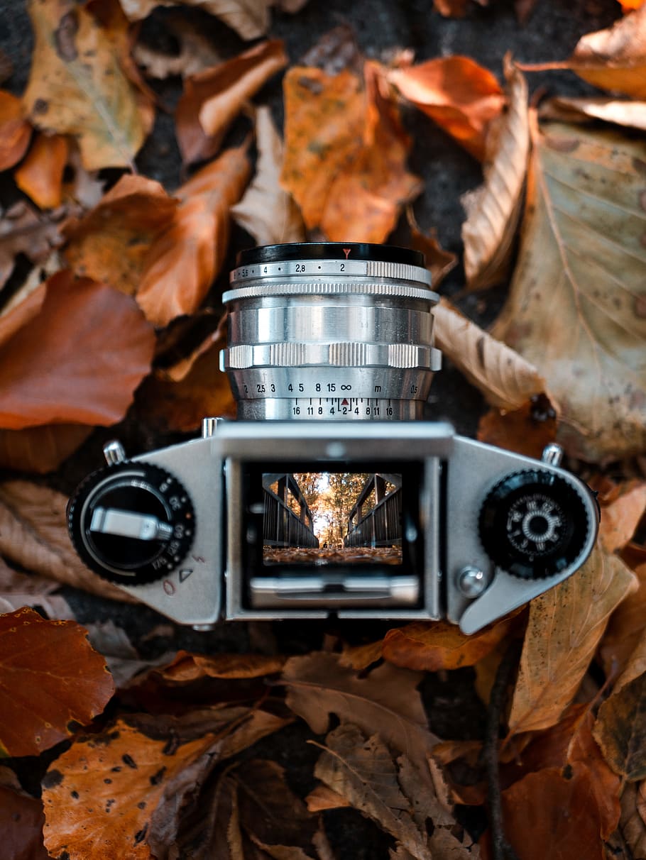nero, grigio, fotocamera dslr, trasformato, foglia, vecchio, autunno, specchio, prospettiva, telecamera, simmetria, attrezzatura fotografica, fotografo, arancia, riflessione, mirino a livello della vita, parte vegetale, tecnologia, temi fotografici, avvicinamento, macchina fotografica - attrezzatura fotografica, natura, nessuno, le foglie, asciutto, modificare, giorno, metallo, attrezzatura, in stile retrò, all'aperto, Camera digitale, 4K