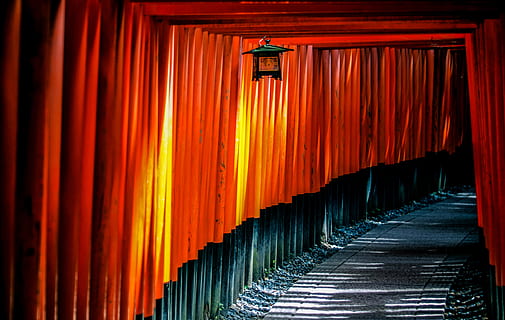 grauer konkreter Weg, Japan, Pfad, Leise, Holz, Tor, torii, rot, Reise, Tourismus, kyoto, Religion, Gelb, spirituell, Pflanze, Geländer, Vorhang, Textur, draußen, Licht, in einer Reihe, keine Leute, Anbetungsstätte, die Architektur, Schrein, Glauben, gebaute Struktur, Spiritualität, der Weg nach vorn, drinnen, orange Farbe, Richtung, Tag, Gebäude, architektonische Säule, 4K, CC0, gemeinfrei, lizenzfrei