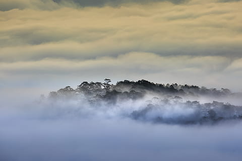 weiße Wolken, Wolkengebilde, wolkig, Dämmerung, Tageslicht, Nebel, Landschaft, Natur, draußen, szenisch, Silhouette, Himmel, Himmelslandschaft, Sturm, Sommer-, Sonnenuntergang, Reise, locke, Wetter, wolke - himmel, Schönheit in der Natur, Szenen - Natur, Ruhe, ruhige Szene, keine Leute, idyllisch, Nicht-städtische Szene, Umgebung, Baum, Tag, Pflanze, majestätisch, dunstig, 4K, CC0, gemeinfrei, lizenzfrei