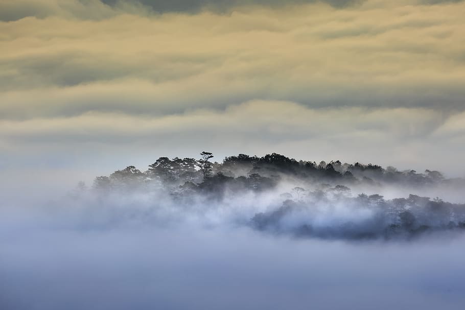 weiße Wolken, Wolkengebilde, wolkig, Dämmerung, Tageslicht, Nebel, Landschaft, Natur, draußen, szenisch, Silhouette, Himmel, Himmelslandschaft, Sturm, Sommer-, Sonnenuntergang, Reise, locke, Wetter, wolke - himmel, Schönheit in der Natur, Szenen - Natur, Ruhe, ruhige Szene, keine Leute, idyllisch, Nicht-städtische Szene, Umgebung, Baum, Tag, Pflanze, majestätisch, dunstig, 4K