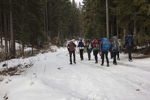 muntanyencs, caminar, neu, motxilla, fred, la llum del dia, medi ambient, bosc, herba, gel, paisatge, homes, muntanya, naturalesa, gent, recreació, carretera, escènic, arbres, trekking, desgast, temps, hivern, boscos, arbre, grup de persones, persones reals, temperatura de fred, planta, activitat d'oci, terra, estils de vida, esport, longitud completa, vista del darrere, dia, bellesa a la natura, roba calenta, 5K, CC0, domini públic, lliure de regalies
