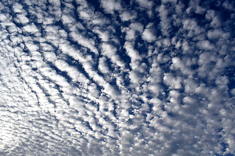 nor, cer, nori, clustere, climat, vară, natură, furtună, frumos, nor - cer, fundaluri, albastru, Cloudscape, nici o persoana, frumusețe în natură, cadru complet, scenice - natura, zi, culoare alba, în aer liber, idilic, model, mediu inconjurator, dramatic cer, vânt, liniște, fundaluri abstracte, luminos, traseu de vapori, 4K, CC0, domeniu public, fără drepturi de autor