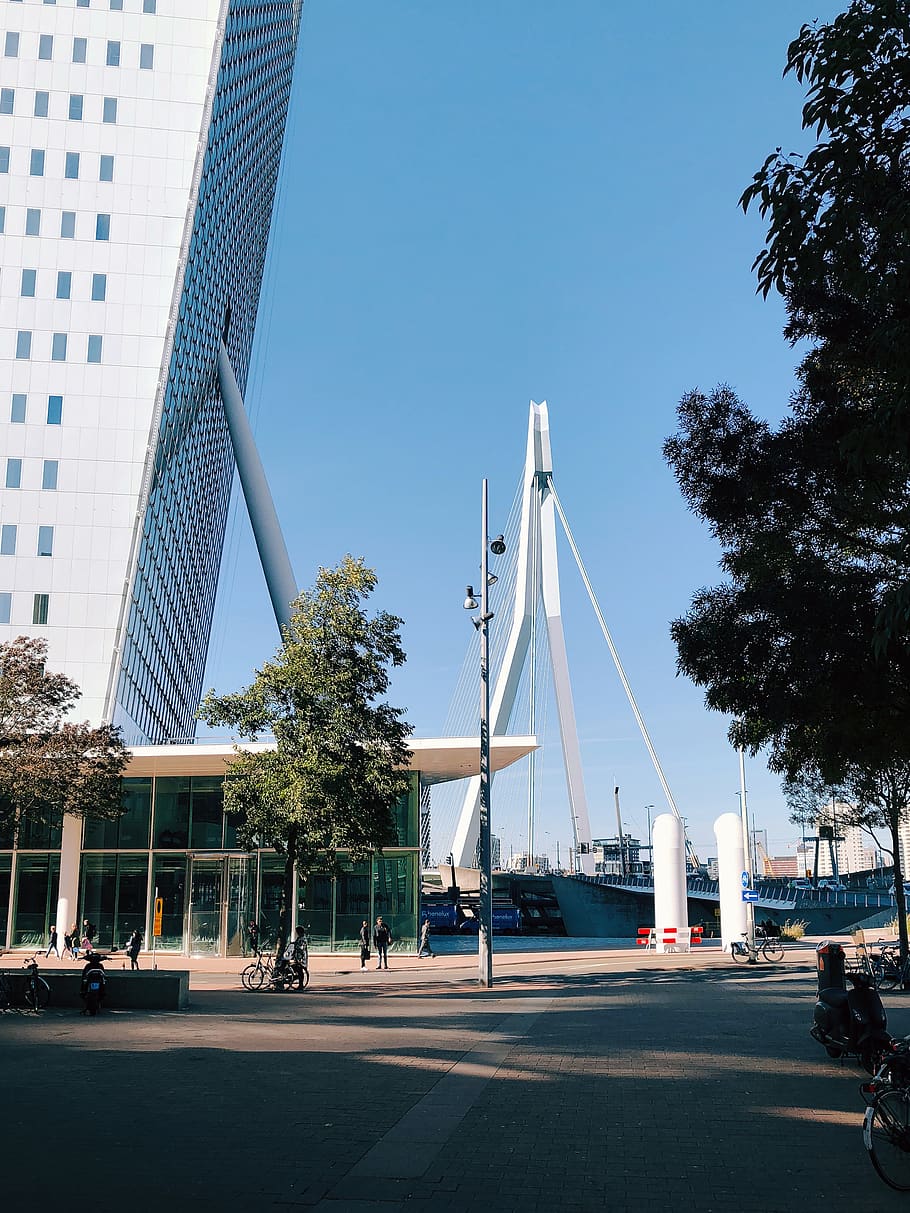 Països Baixos, Rotterdam, erasmusbrug, arquitectura, estructura construïda, ciutat, cel, exterior de l'edifici, arbre, transport, naturalesa, dia, exterior d’edifici d’oficines, planta, carretera, carrer, modern, edifici, cel clar, persones incidentals, gratacels, manera de transport, alta - alta, a l'aire lliure, 4K