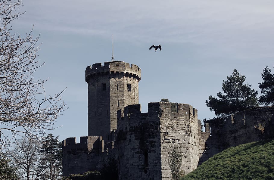 castell, àguila, volant, cel, èpica, vell, antic, Warwick, mantenir, torre, paisatge, Adler, ocell, pintoresca, falconeria, falcó, cacera, impressionant, animal, arquitectura, estructura construïda, exterior de l'edifici, arbre, història, naturalesa, vista d’angle baix, el passat, planta, temes d'animals, cap gent, vertebrats, edifici, dia, fort, a l'aire lliure, 4K