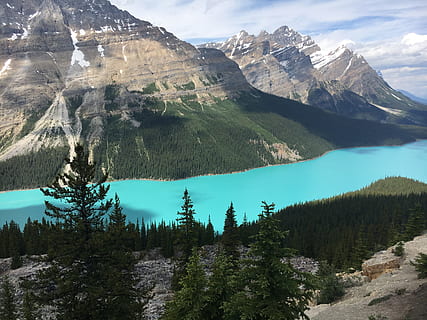 blue, river, surrounding, mountains, mountain, forest, tree, aqua, turquoise, rock, blue water, banff, canada, albertum, lake, peyto lake, aqua lake, nature, landscape, alberta, scenics, banff National Park, outdoors, rocky Mountains, mountain Range, beauty In Nature, canadian Rockies, mountain Peak, sky, snow, travel, uSA, rock - Object, national Park, national Landmark, summer, wilderness Area, extreme Terrain, no People, vacations, water, tourism, tranquil Scene, valley, pine Tree, green Color, cloud - Sky, 4K, CC0, public domain, royalty free