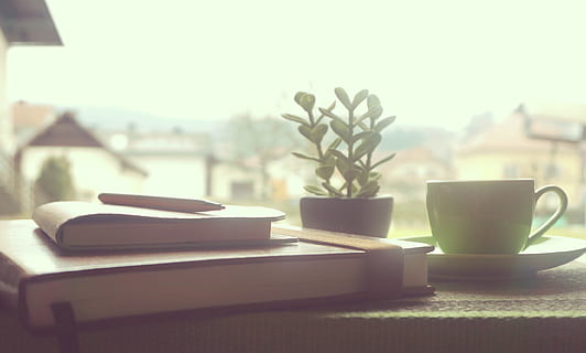 books, reading, study, learning, school, office, home, business, coffee, tea, cup, window, mug, table, coffee cup, no people, drink, day, food and drink, indoors, coffee - drink, focus on foreground, nature, sunlight, plant, still life, absence, tea cup, crockery, coffee table, 2K, CC0, public domain, royalty free