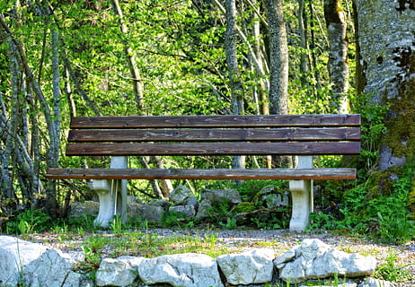 panchina nel parco, avventura, panchina, luce del giorno, vuoto, ambiente, flora, foresta, giardino, erba, paesaggio, muschio, natura, parco, sentiero, riposo, panoramico, stagione, posto a sedere, estate, alberi, di legno, boschi, pianta, albero, terra, giorno, legno - materiale, crescita, tronco d'albero, la tranquillità, tronco, nessuno, assenza, colore verde, all'aperto, bellezza nella natura, panchina del parco, legna, bosco, 4K