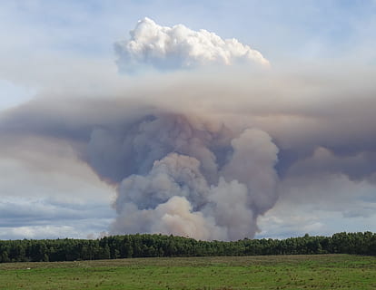 forest burnoff, creates, huge, mushroom cloud, cloud, clouds, mushroom, fuel, emission, climate, bushfire, pollution, sky, smoke, air, atmosphere, environment, environmental, burn, burning, fire, burnoff, forest, wood, destruction, vapour, vapor, smoky, ash, cloud - sky, nature, landscape, land, beauty in nature, smoke - physical structure, no people, day, field, non-urban scene, scenics - nature, environmental issues, outdoors, power in nature, power, accidents and disasters, air pollution, 1080P, CC0, public domain, royalty free