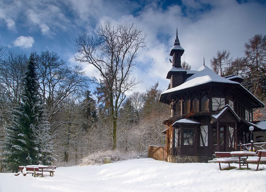 foresta, bar, parco, terme, inverno, la neve, strada forestale, natura, Boemia, alberi, ricreazione, cielo, Paradiso, Boemia settentrionale, paesaggio, albero, struttura costruita, architettura, temperatura fredda, esterno dell'edificio, pianta, costruzione, albero nudo, nessuno, giorno, luogo di culto, religione, spiritualità, terra, credenza, all'aperto, 5K