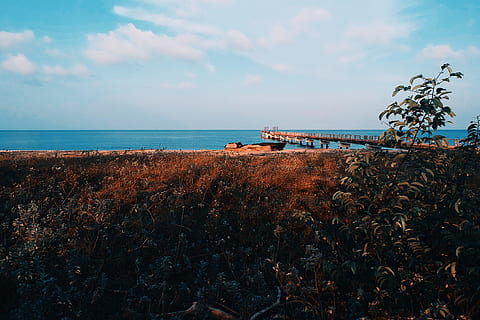 dockyard, beach, clouds, daylight, dock, grass, jetty, landscape, nature, ocean, sand, sea, seascape, seashore, shipwreck, sky, trees, water, horizon, horizon over water, cloud - sky, scenics - nature, plant, land, nautical vessel, transportation, beauty in nature, tranquility, tranquil scene, mode of transportation, day, no people, 4K, CC0, public domain, royalty free