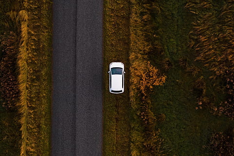 cotxe blanc aparcat, drone, mavic 2, nordjylland, danès, Dinamarca, cotxe blanc, verd, simetria, centre, naturalesa, carretera, cotxe, planta, arbre, cap gent, creixement, terra, dia, camp, bosc, herba, a l'aire lliure, tranquil·litat, bellesa a la natura, escena tranquil·la, escenics - natura, color verd, tecnologia, comunicació, connexió, 2K, CC0, domini públic, lliure de regalies