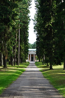 tempio, foresta, traccia, sentiero, architettura, alberi, pianta, direzione, albero, la strada davanti, prospettiva decrescente, struttura costruita, natura, nessuno, colore verde, giorno, erba, crescita, esterno dell'edificio, punto di fuga, costruzione, all'aperto, mezzi di trasporto, strada, treelined, 5K, CC0, dominio pubblico, privo di copyright