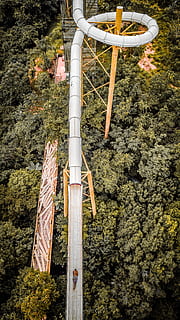 árboles verdes, poste de electricidad, camino sin nombre, Brasil, rio quente, cable, planta, árbol, vegetación, líneas eléctricas, torre de transmisión eléctrica, cuerda, aventuras, actividades de ocio, bungee, abies, abeto, urbano, vestir, ropa, casco de seguridad, naturaleza, día, nadie, crecimiento, al aire libre, tierra, estructura construida, transporte, arquitectura, vista de alto ángulo, creencia, belleza en la naturaleza, bosque, luz del sol, religión, modo de transporte, polo, campo, 2K, CC0, dominio público, libre de derechos