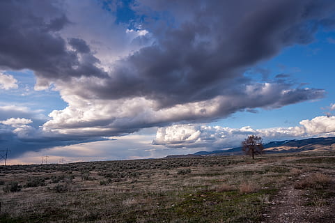 foto, camp de gespa, ennuvolat, cel, núvols, medi ambient, herba, pastures, enorme, paisatge, naturalesa, a l'aire lliure, sabana, vasta, vista, ampli, núvol - cel, escenics - natura, bellesa a la natura, escena tranquil·la, tranquil·litat, escena no urbana, terra, muntanya, dia, cap gent, planta, camp, idíl·lic, remot, clima àrid, 5K, CC0, domini públic, lliure de regalies