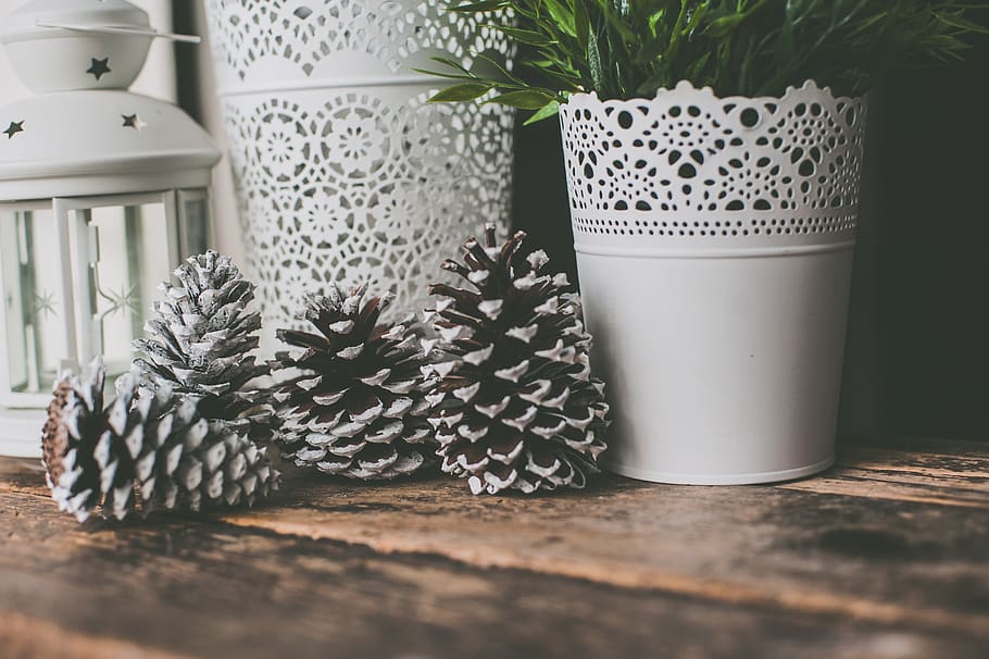 foto, pinyes, blanc, gerro, fons, borrós, primer pla, decoració, disseny, focus, plantes, olla, retro, rústic, vintage, fusta, taula, planta en test, planta, a l'interior, cap gent, material de fusta, naturalesa, natura morta, enfocament selectiu, dia, patró, Color blanc, sòls, frescor, planta suculenta, color verd, planta d'interior, vidre, 1080P