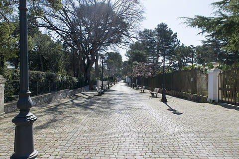 passarel·la, Camí, vorera, paviment, banc, mobles, llambordes, arbre, a l'aire lliure, ciutat, carrer, llosa, vell, ielix, puglia, Itàlia, jardí, arbor, planta, urbà, el camí a seguir, direcció, sendera, dia, parc, arquitectura, parc - l'home va fer espai, naturalesa, cap gent, creixement, perspectiva decreixent, pedra, llum del carrer, estructura construïda, publicació, treelined, llarg, 5K, CC0, domini públic, lliure de regalies