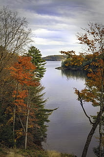 Bäume, See, Aussicht, fallen, Wasser, Wald, rot, Grün, Natur, Blätter, Himmel, Blau, Wolke, felsenfeste Bilder, Landschaft, Baum, Pflanze, Ruhe, Schönheit in der Natur, ruhige Szene, Herbst, Szenen - Natur, wolke - himmel, keine Leute, Veränderung, Nicht-städtische Szene, Tag, Reflexion, Wachstum, draußen, 5K, CC0, gemeinfrei, lizenzfrei