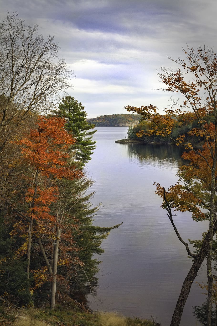 Bäume, See, Aussicht, fallen, Wasser, Wald, rot, Grün, Natur, Blätter, Himmel, Blau, Wolke, felsenfeste Bilder, Landschaft, Baum, Pflanze, Ruhe, Schönheit in der Natur, ruhige Szene, Herbst, Szenen - Natur, wolke - himmel, keine Leute, Veränderung, Nicht-städtische Szene, Tag, Reflexion, Wachstum, draußen, 5K