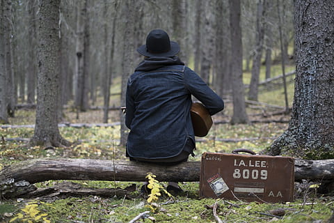persona, giocando, chitarra, foresta, valigia, albero, legna, musica, cappello, chitarrista, Astuccio, musicista, albero caduto, ukulele, ceppo, bosco, natura, solitudine, custodia per chitarra, giocare, artista, retrovisore, pianta, testo, terra, una persona, capi di abbigliamento, giorno, tronco d'albero, tronco, comunicazione, concentrarsi sulle conoscenze acquisite, sceneggiatura occidentale, persone reali, all'aperto, cartello, uomini, cappuccio - abbigliamento, 4K, CC0, dominio pubblico, privo di copyright