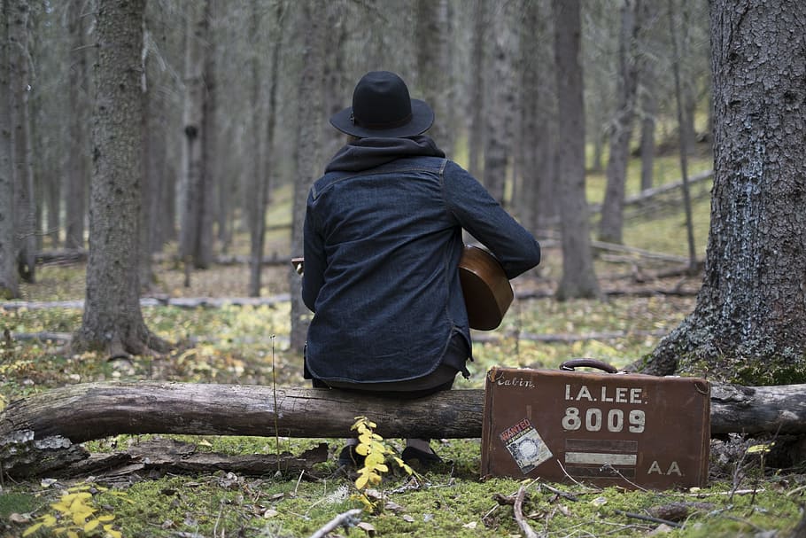 persona, jugant, guitarra, bosc, maleta, arbre, fusta, música, barret, guitarrista, cas, músic, arbre caigut, ukelele, registre, naturalesa, la soledat, caixa de guitarra, jugar, artista, vista del darrere, planta, text, terra, una persona, roba, dia, tronc de l'arbre, tronc, comunicació, centrar-se en primer pla, guió occidental, persones reals, a l'aire lliure, signe, homes, caputxa - roba, 4K