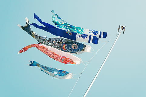 encore, articles, des choses, cerfs-volants, des bannières, koi, graphique, conception, pôle, ciel, bleu, la nature, faible angle de vue, ciel clair, journée, personne, vent, variation, en plein air, choix, ensoleillé, banderole, représentation, multi couleur, en volant, environnement, représentation animale, 4K, CC0, domaine public, libre de droits