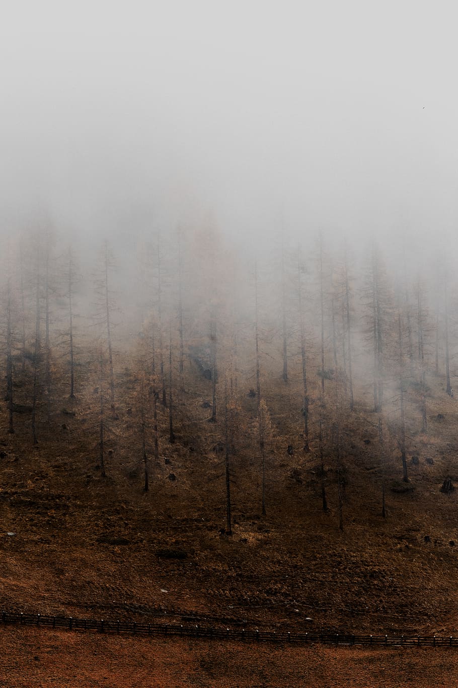 sense costures, naturalesa, temps, a l'aire lliure, boira, lappach, Itàlia, muntanya, pintura, art, bosc, gris, caure, tardor, núvol, ennuvolat, boirina, cresta, arbre, planta, terra, medi ambient, cap gent, paisatge, escena no urbana, dia, escenics - natura, fum - estructura física, escena tranquil·la, tranquil·litat, bellesa a la natura, efecte texturat, smog, pi, 5K