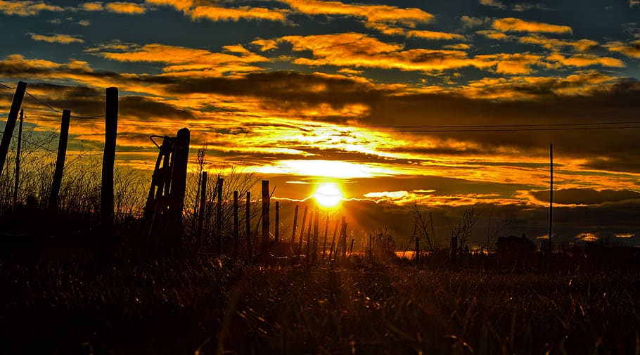 silueta fotografie, plot, mraky, svítání, nebe, slunce, západ slunce, mrak - nebe, krása v přírodě, scenics - příroda, oranžová barva, přistát, rostlina, Příroda, klid, slunečního světla, klidné scény, pole, silueta, nikdo, tráva, idylický, růst, mimoměstské scény, venku, 4K