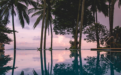Infinity-Pool, umgeben, Palmen, Baum, Pflanze, Himmel, Wachstum, Palme, Natur, Schönheit in der Natur, Wasser, tropisches Klima, Reflexion, Ruhe, keine Leute, wolke - himmel, Szenen - Natur, ruhige Szene, Sonnenuntergang, See, Silhouette, idyllisch, draußen, Kokospalme, 2K, CC0, gemeinfrei, lizenzfrei