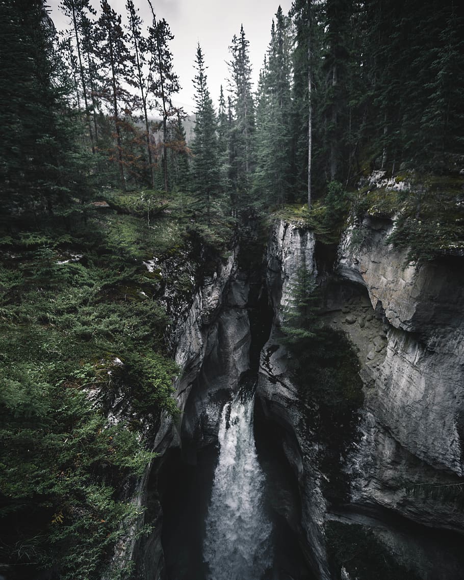 cascate, foresta, scogliera, luce del giorno, ambiente, flusso, paesaggio, montagna, natura, rocce, panoramico, alberi, acqua, boschi, albero, pianta, terra, bellezza nella natura, scenics - natura, movimento, nessuno, cascata, roccia, acqua corrente, scena non urbana, all'aperto, movimento sfocato, la tranquillità, crescita, fluente, bosco, flusso - acqua che scorre, 5K