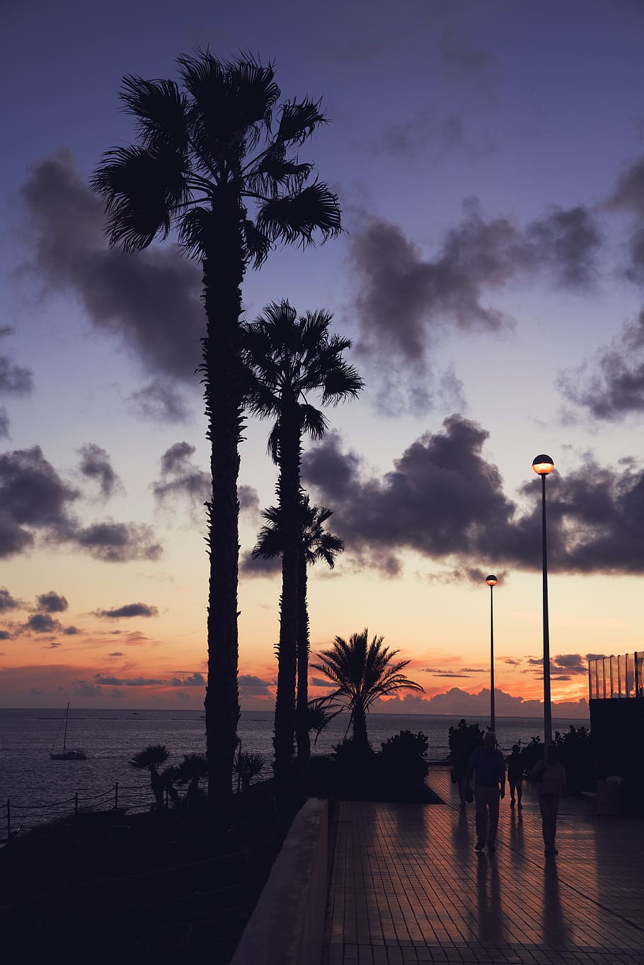fotografia de silueta, palmeres, mar, platja, núvols, Costa, tarda, hora daurada, fanals, paisatge, naturalesa, oceà, gent, escènic, paisatge marí, vora del mar, Riba, silueta, cel, posta de sol, arbres, aigua, Palmera, clima tropical, núvol - cel, arbre, escenics - natura, bellesa a la natura, llum del carrer, planta, equips d’il·luminació, carrer, escena tranquil·la, horitzó sobre l’aigua, a l'aire lliure, passeig marítim, 5K