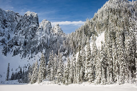 snow, winter, white, cold, weather, ice, trees, plants, nature, woods, forest, travel, adventure, mountain, climb, trek, hike, cold temperature, beauty in nature, tree, plant, scenics - nature, tranquil scene, land, day, tranquility, no people, white color, non-urban scene, landscape, sky, environment, pine tree, outdoors, snowcapped mountain, woodland, coniferous tree, 5K, CC0, public domain, royalty free