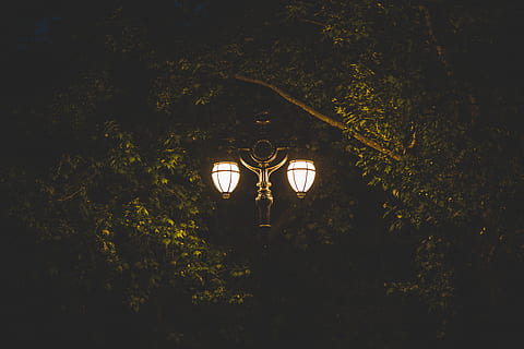 far de llum encès, Londres, Regne Unit, st. james's park station, parc, arbre, llum, nit, carrer, fosc, fanal, arbres, verd, il·luminat, equips d’il·luminació, vista d’angle baix, planta, cap gent, brillant, llum del carrer, electricitat, naturalesa, a l'aire lliure, llum - fenomen natural, llum elèctrica, creixement, arquitectura, 5K, CC0, domini públic, lliure de regalies