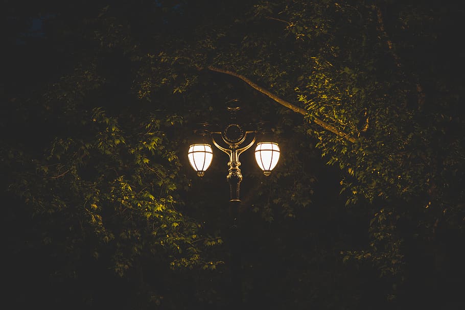 far de llum encès, Londres, Regne Unit, st. james's park station, parc, arbre, llum, nit, carrer, fosc, fanal, arbres, verd, il·luminat, equips d’il·luminació, vista d’angle baix, planta, cap gent, brillant, llum del carrer, electricitat, naturalesa, a l'aire lliure, llum - fenomen natural, llum elèctrica, creixement, arquitectura, 5K