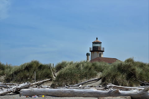 far, oregon, platja, cel, estructura construïda, arquitectura, exterior de l'edifici, orientació, torre, edifici, naturalesa, planta, seguretat, cap gent, dia, protecció, núvol - cel, terra, direcció, arbre, temperatura de fred, a l'aire lliure, 4K, CC0, domini públic, lliure de regalies