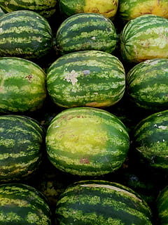 vandmeloner, overflod, frugter, sund og rask, fremstille, mad og drikke, sund kost, mad, velvære, friskhed, grøn farve, fuld ramme, baggrunde, ingen mennesker, marked, stilleben, frugt, stor gruppe af objekter, tæt på, detail, grøntsag, til salg, vandmelon, markedsbod, moden, 4K, CC0, offentligt domæne, royaltyfrie