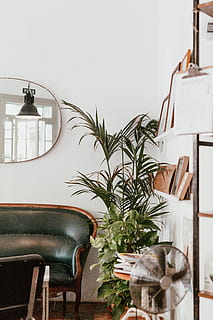 grau, Ventilator, neben, Innen-, Grün, Pflanzen, Minimalismus, interiordesign, Fernbedienung, Innere, Deokratisierung, Cafe, Spiegel, Pflanze, Design, Kaffee, Innenarchitektur, Dekor, Dekoration, Cafe Interieur, drinnen, Wohnraum, Möbel, Wohnung, keine Leute, Sofa, modern, Stuhl, Tabelle, Wohngebäude, gemütlich, Wohnzimmer, Eleganz, elektrische Lampe, Sessel, Luxus, Fenster, die Architektur, Haus, Weiß, Holz - Material, Wandbau - Funktion, Stil, Kissen, Lebensstile, aufwendig, 5K, CC0, gemeinfrei, lizenzfrei