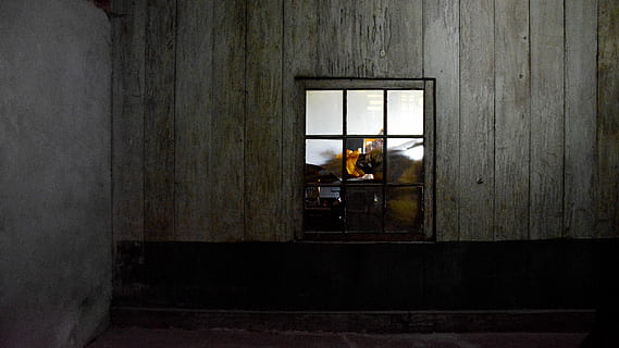 Indie, dubdi, zeď, vzor, dřevěný dům, krytý, temná místnost, rozbité okno, světlo, okno, uvnitř, architektura, jedna osoba, dřevo - materiál, muži, stavba, nástěnný prvek, sedící, budova, den, stůl, skutečných lidí, plná délka, obsazení, 5K, CC0, veřejná doména, bez autorských práv