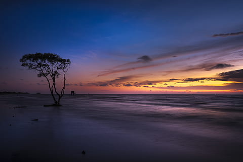 fotografia al tramonto, retroilluminato, spiaggia, nuvole, Cloudscape, alba, crepuscolo, sera, orizzonte, paesaggio, lunga esposizione, natura, oceano, all'aperto, panoramico, mare, paesaggio marino, riva del mare, silhouette, staglia, cielo, skyscape, estate, sole, tramonto, viaggio, albero, acqua, scenics - natura, bellezza nella natura, scena tranquilla, la tranquillità, nuvola - cielo, colore arancione, pianta, idilliaco, nessuno, terra, orizzonte sull'acqua, viola, 5K, CC0, dominio pubblico, privo di copyright