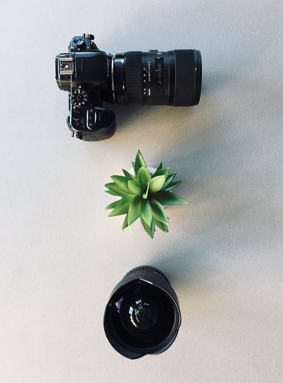 Fotoaparát, sukulentní, rostlina, kamerové čočky, detail, elektronický, zařízení, soustředit se, nástroj, objektiv, optika, fotografování, hrnec, sukulentní rostlina, technologie, fotoaparát - fotografické vybavení, fotografická témata, fotografické vybavení, uvnitř, digitální fotoaparát, nikdo, Příroda, objektiv - optický přístroj, Černá barva, focení, vysoký úhel pohledu, stůl, stálý život, zelená barva, list, rostlinné části, slr fotoaparát, domácí videokamera, 2K