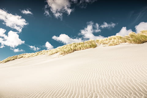 fotografia ad angolo basso, deserto, cresta, duna, nube, cielo, luce del sole, struttura, sabbia, spiaggia, Nuova Zelanda, duna di sabbia, natura, asciutto, all'aperto, paesaggio, nessuno, estate, Paesaggi, blu, clima arido, monumento nazionale delle sabbie bianche, bellezza nella natura, calore - temperatura, bianca, terreno estremo, vacanze, giorno, scena tranquilla, viaggio, destinazioni di viaggio, cielo sereno, copia spazio, idilliaco, orma, a distanza, collina, 5K, CC0, dominio pubblico, privo di copyright