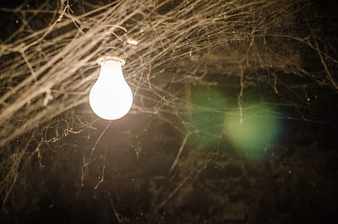 Licht, die Glühbirne, alt, Keller, Spinnennetz, Netz, Gewirr, schmutzig, dunkel, beleuchtet, Lichtanlage, Nacht-, glühend, Elektrizität, keine Leute, elektrisches Licht, Nahansicht, Licht - natürliches Phänomen, Natur, einzelnes Objekt, Glühfaden, Birne, draußen, Kraftstoff- und Stromerzeugung, Glas - Material, Technologie, schwarzer Hintergrund, elektrische Lampe, hell, Netzteil, 4K, CC0, gemeinfrei, lizenzfrei
