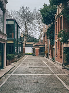 betonový povrch, chodník, cesta, město, silnice, ulice, městský, budova, kámen, nanjing shi, xiang pu ying ona qu, Čína, domovní dekorace, uličkou, alej, dlažební kamen, podlaha, v centru města, architektura, exteriér budovy, stavba, strom, cesta vpřed, směr, rostlina, rezidenční čtvrti, nikdo, Příroda, Dům, pěšina, den, prázdný, nebe, venku, řadový dům, 4K, CC0, veřejná doména, bez autorských práv