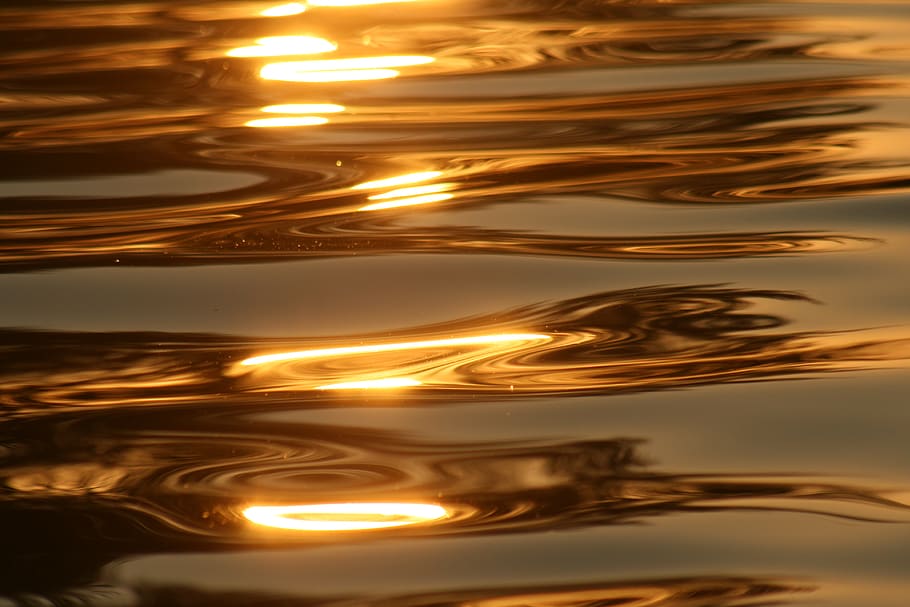 Canadà, Lethbridge, or, reflexió, sunstar, moviment, color daurat, fons, cap gent, naturalesa, patró, il·luminat, resum, cremant, aigua, foc, tir de l'estudi, calor - temperatura, marc complet, groc, brillant, cel, a l'interior, fons abstractes, efecte texturat, 4K