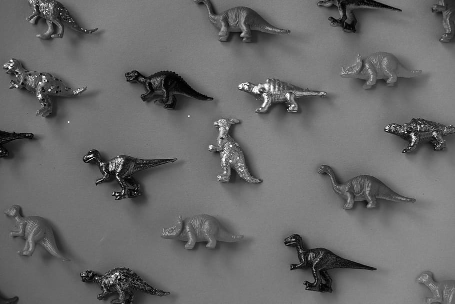 antic, animals, assortit, assortiment, fons, blanc i negre, bw, infància, primer pla, col · lecció, dinosaure, efectes, elefant, extingit, figura, figureta, girafa, escala de grisos, gran grup d'objectes, a l'interior, vista d’angle alt, tir de l'estudi, representació animal, representació, elecció, animal, cap gent, variació, taula, gran grup d’animals, temes d'animals, art i artesania, directament a sobre, fauna animal, gris, color plata, 4K