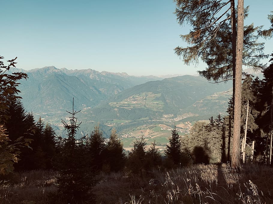 arbres i muntanyes, planta, arbre, muntanya, a l'aire lliure, Serra, naturalesa, avet, abies, luson, Itàlia, carretera sense nom, pic, conífera, arbres, Forrest, paisatge, camp, tronc de l'arbre, altiplà, desert, bellesa a la natura, escenics - natura, cel, tranquil·litat, escena tranquil·la, medi ambient, escena no urbana, cap gent, creixement, cel clar, terra, idíl·lic, dia, arbre de coníferes, 4K