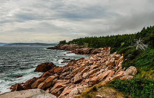 lato, mare, rocce, oceano, cielo, nuvole, natura, estate, vento, naturale, capo breton, nuova Scozia, Canada, roccia, solido, roccia - oggetto, nuvola - cielo, bellezza nella natura, scenics - natura, acqua, pianta, terra, albero, la tranquillità, scena tranquilla, nessuno, scena non urbana, giorno, spiaggia, all'aperto, costa rocciosa, 5K, CC0, dominio pubblico, privo di copyright
