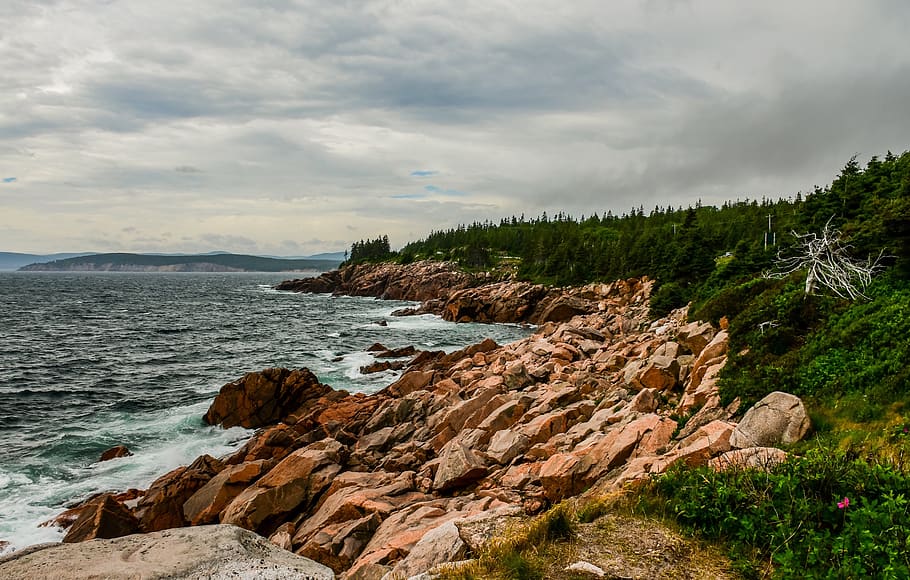 lato, mare, rocce, oceano, cielo, nuvole, natura, estate, vento, naturale, capo breton, nuova Scozia, Canada, roccia, solido, roccia - oggetto, nuvola - cielo, bellezza nella natura, scenics - natura, acqua, pianta, terra, albero, la tranquillità, scena tranquilla, nessuno, scena non urbana, giorno, spiaggia, all'aperto, costa rocciosa, 5K